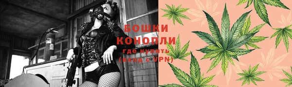 шишки Новозыбков