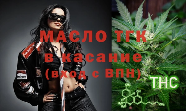 твердый Новодвинск