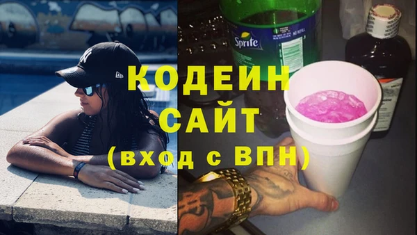 шишки Новозыбков