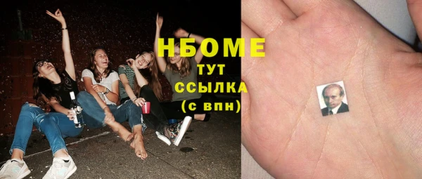 шишки Новозыбков