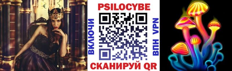 купить наркотик  Тосно  Галлюциногенные грибы Psilocybe 