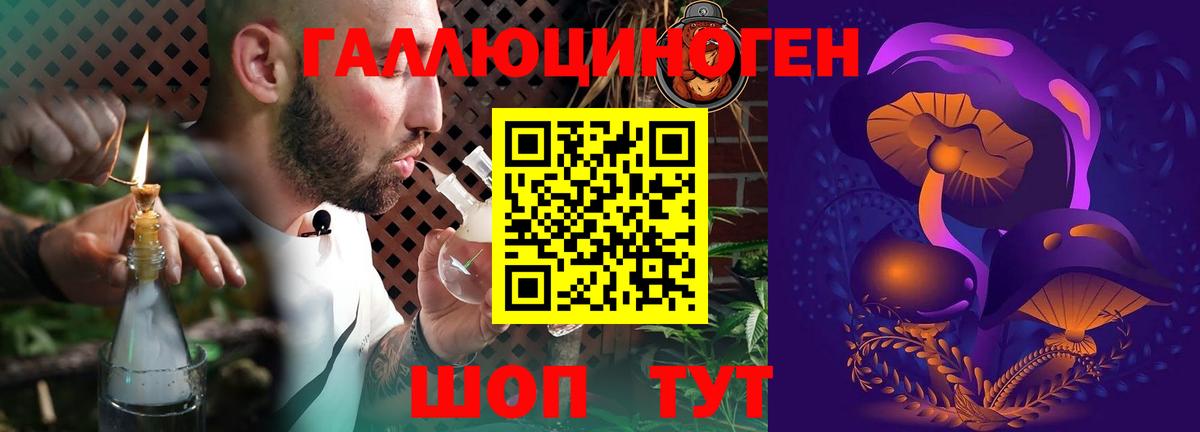 Галлюциногенные грибы Cubensis Тосно