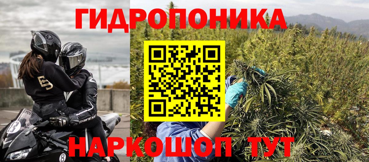 Марихуана конопля Тосно